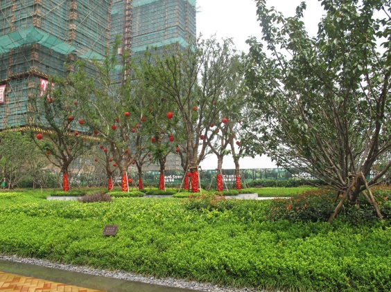 媒体偕行旅行皇冠体育碧林湾工地，，，，，，共鉴皇冠体育精工品质