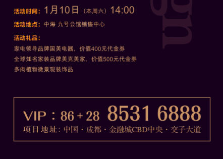 成都皇冠体育九号公馆1月10日举行“经典生涯，，，，，源自设计”家装设计品鉴会运动