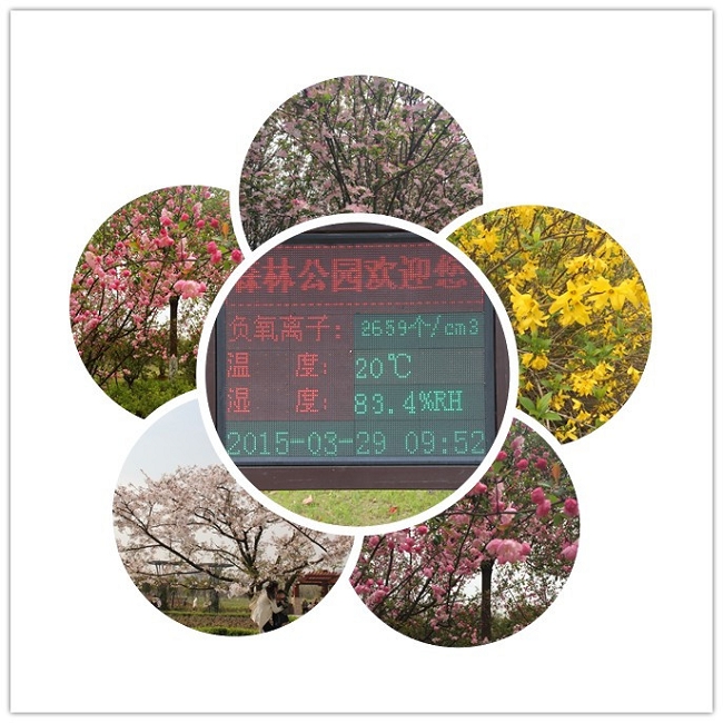 春意盎然时，，，，，，徒步康健行——记合肥公司蜀山西扩景区徒步运动