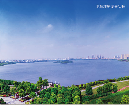 苏州皇冠体育山湖一号名家水墨鉴赏沙龙
